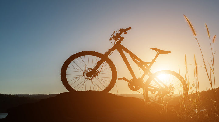 Bicicletas de Ruta Barra Plana vs Urbanas vs Híbridas. ¿Cuáles son las Diferencias?